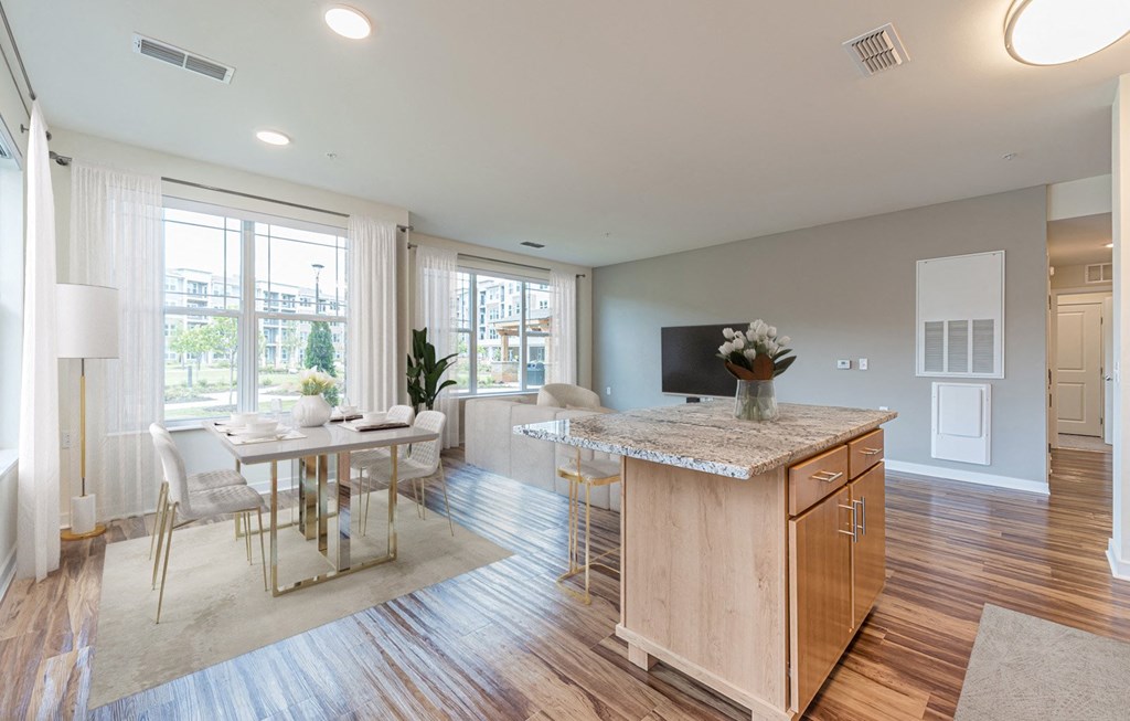 Dominium-Preserve at Peachtree Shoals-Virtually Staged Apt Overview