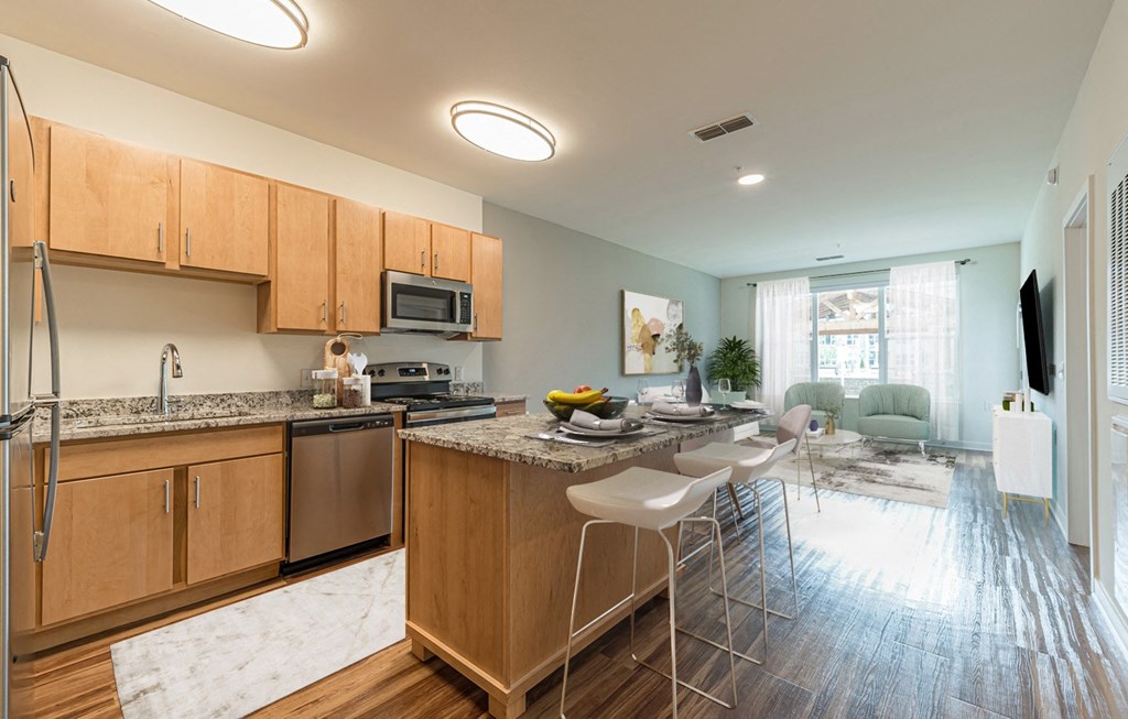 Dominium-Preserve at Peachtree Shoals-Virtually Staged Apt Overview