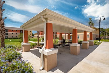 Picnic Area - Photo Gallery 4