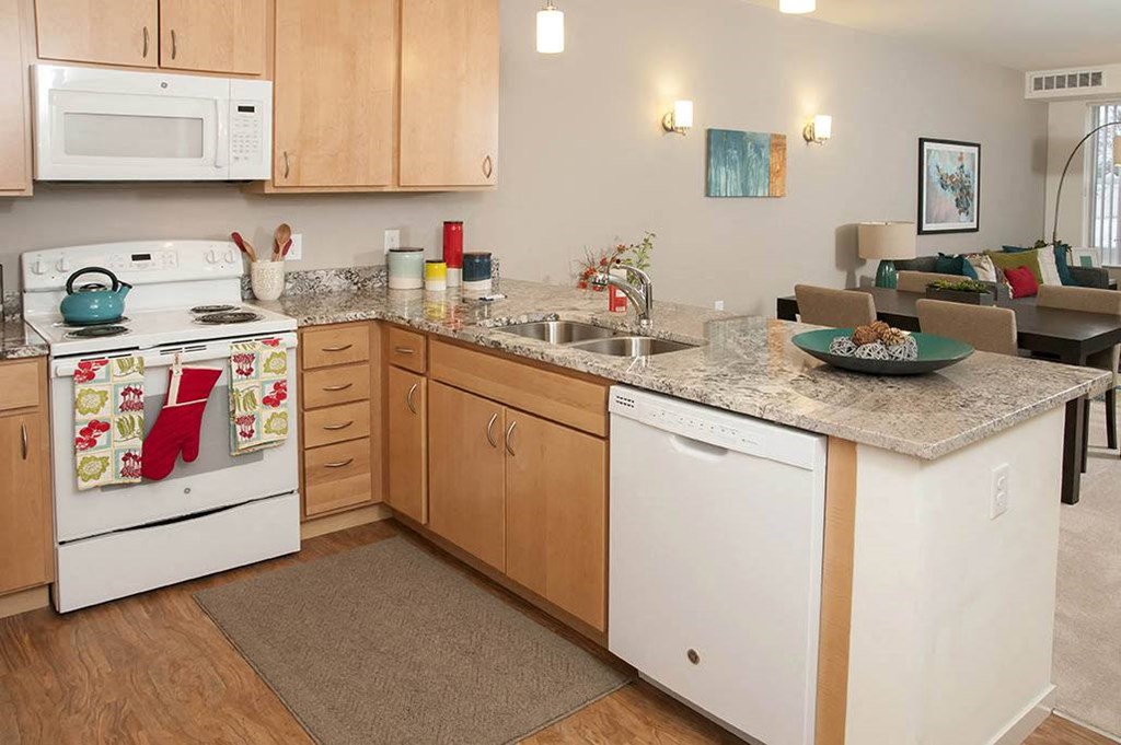 River North_Model Kitchen