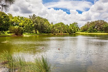 River Trace_Pond - Photo Gallery 3
