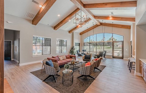 Dominium-Riverstation-Clubhouse at Riverstation, Dallas, 80205