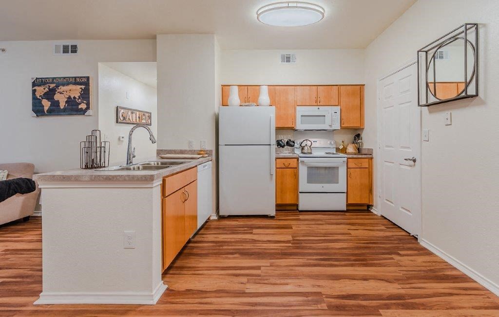 Dominium-Riverstation-New Model Kitchen at Riverstation, Dallas, 80205