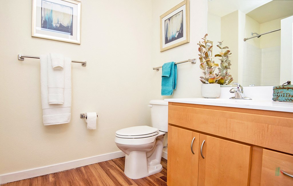 Luxurious Bathroom at Scharbauer Flats, Midland