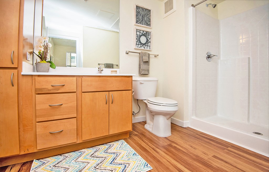Bathroom at Scharbauer Flats, Midland, TX, 79705