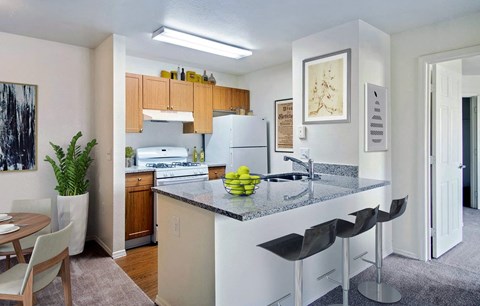 a kitchen with a counter top and a sink