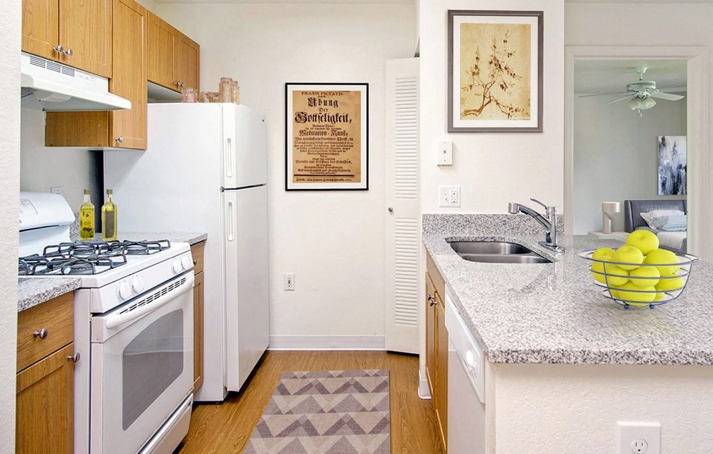 Seven Palms_Staged Kitchen