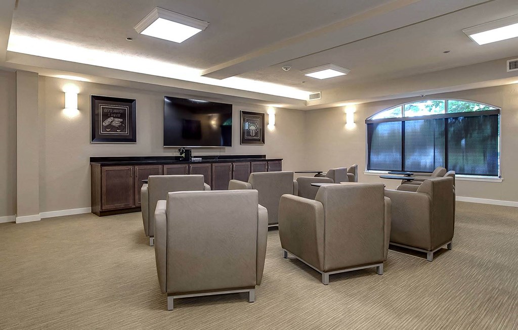 Silver Gardens_Theater Room