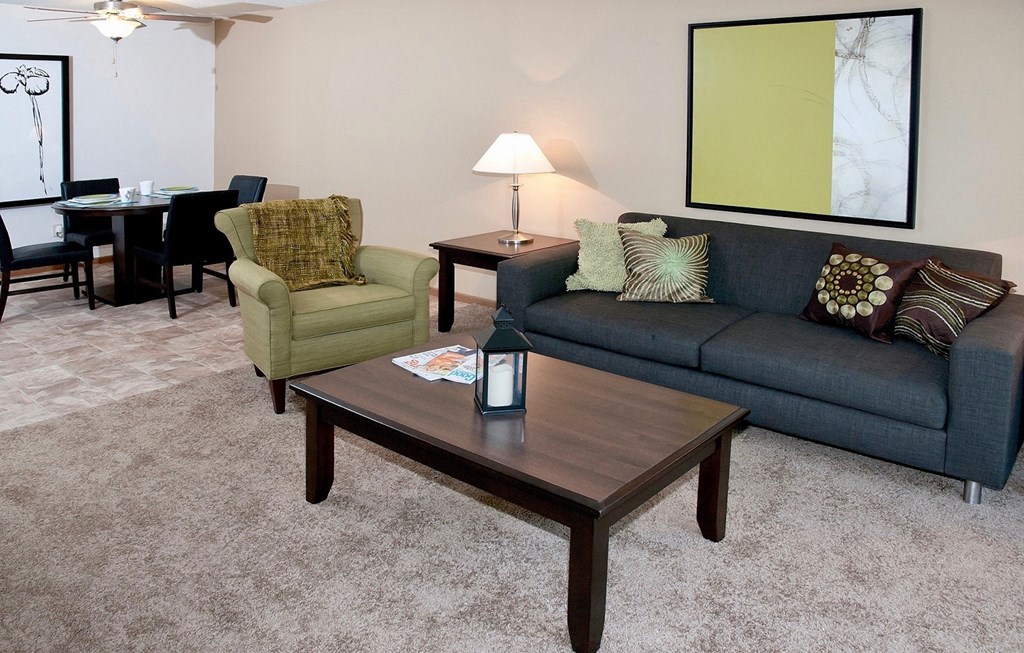 Dominium-Somerset Properties-Living Room