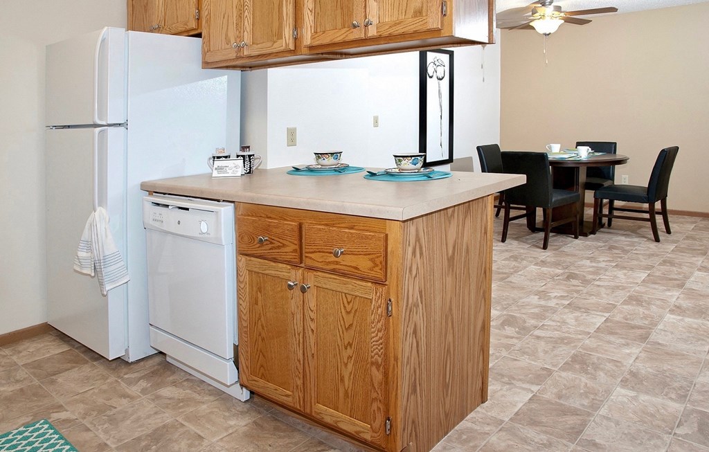 Dominium-Somerset Properties-Kitchen