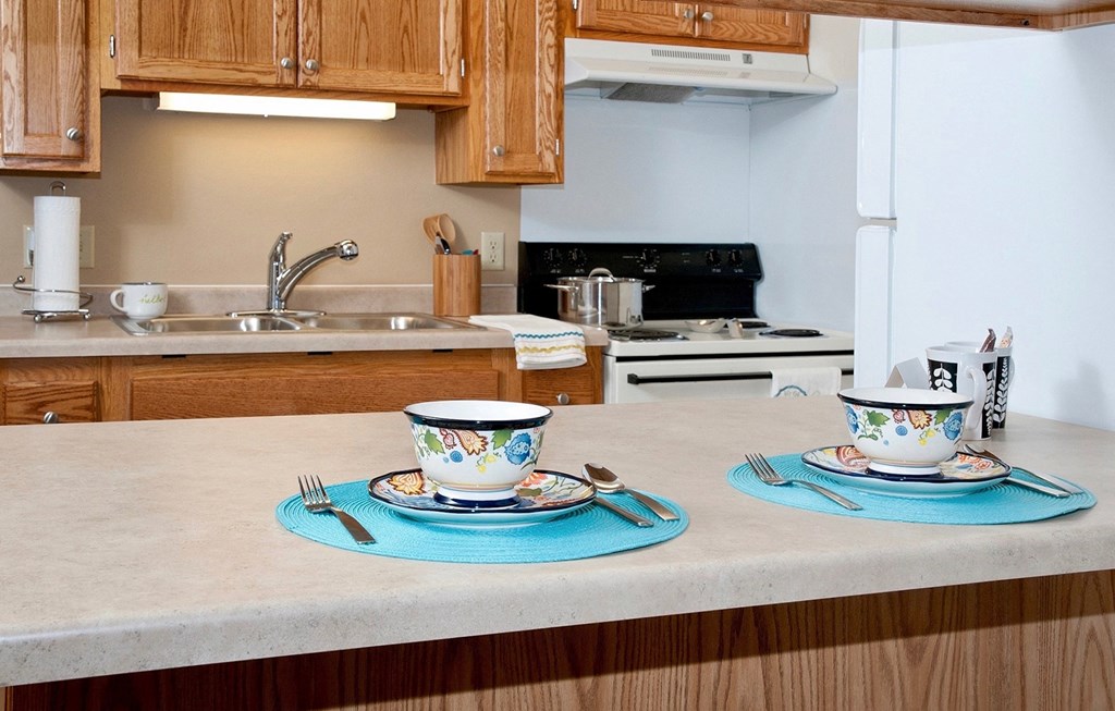 Dominium-Somerset Properties-Kitchen