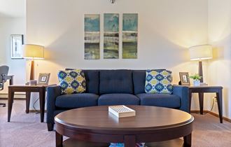 Dominium-Somerset Properties-Living Room