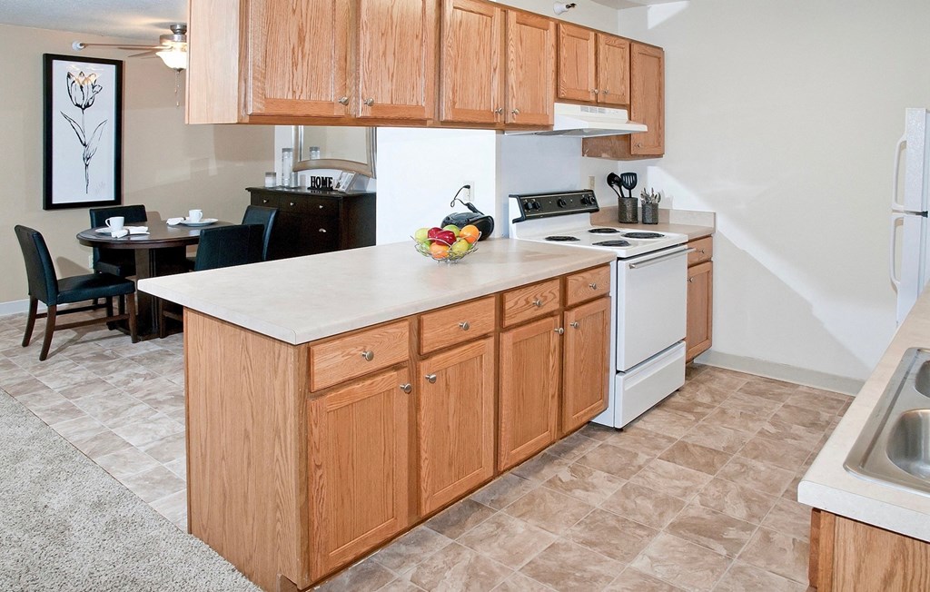 Dominium-Somerset Properties-Kitchen