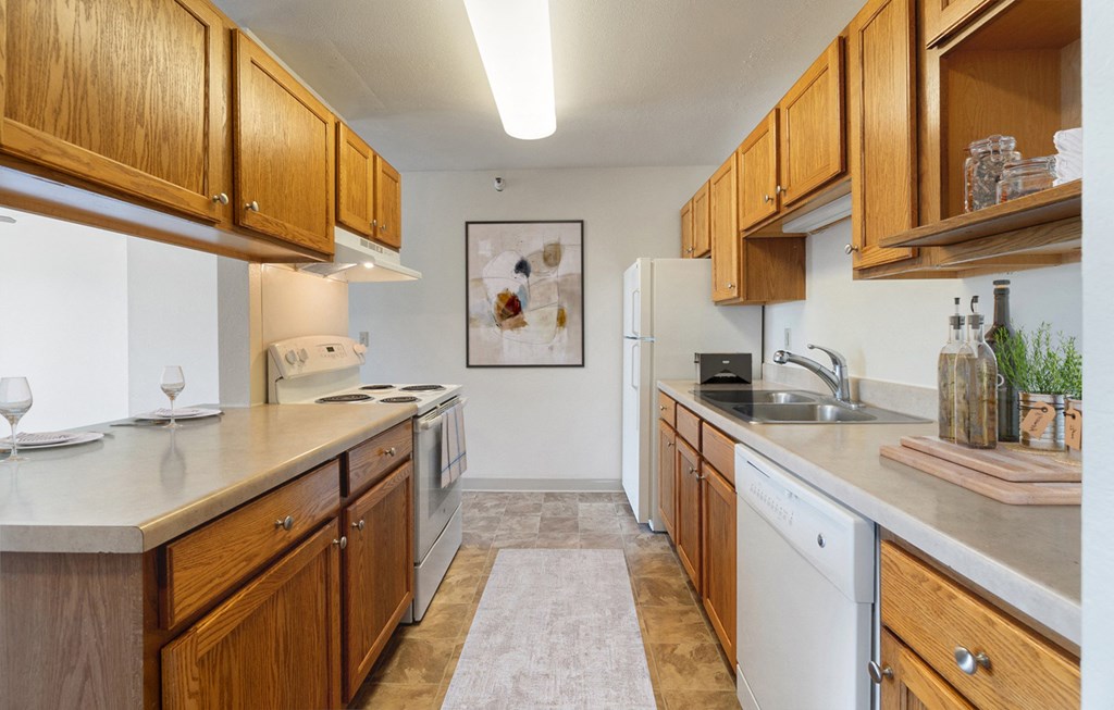 Dominium-Somerset Properties-Kitchen