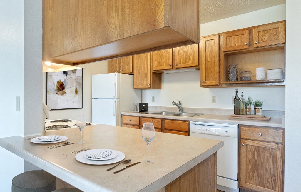 Dominium-Somerset Properties-Kitchen