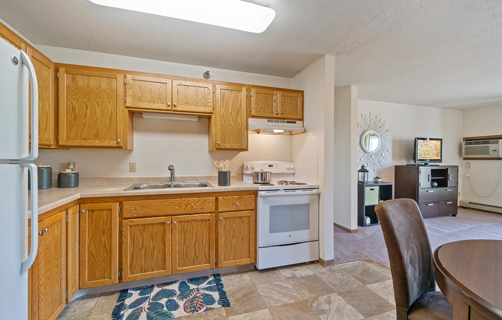 Dominium-Somerset Properties-Kitchen