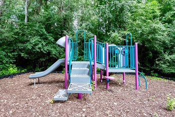 Playground - Photo Gallery 12
