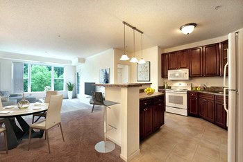 Apartment Overview - Photo Gallery 13