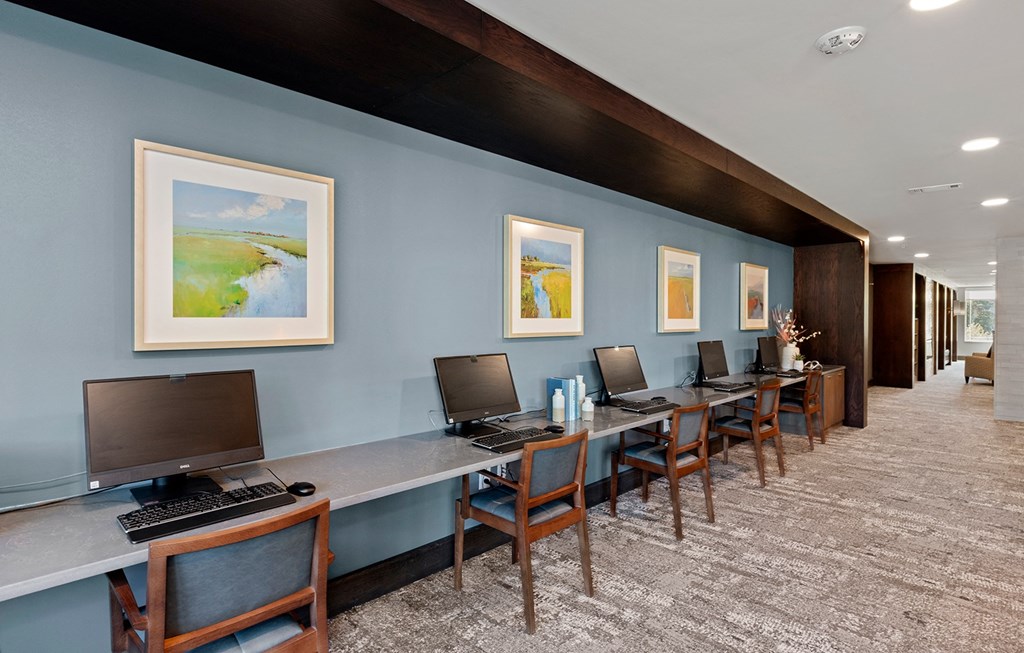 Business Center at Stonepointe 55+ Apartments, Lithonia, GA, 30058