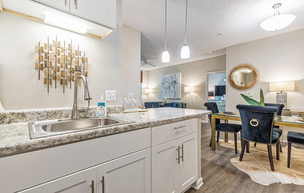 Dominium-The Parkton-Model Kitchen