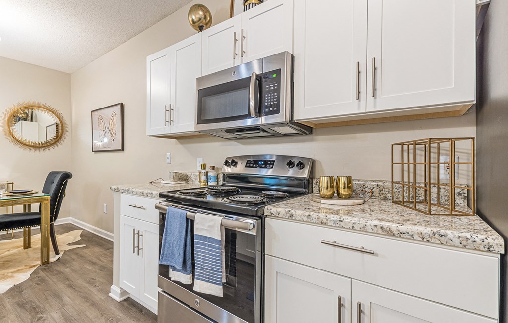 Dominium-The Parkton-Model Kitchen