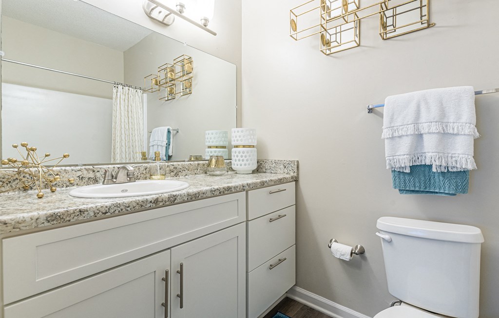 Dominium-The Parkton-Model Bathroom