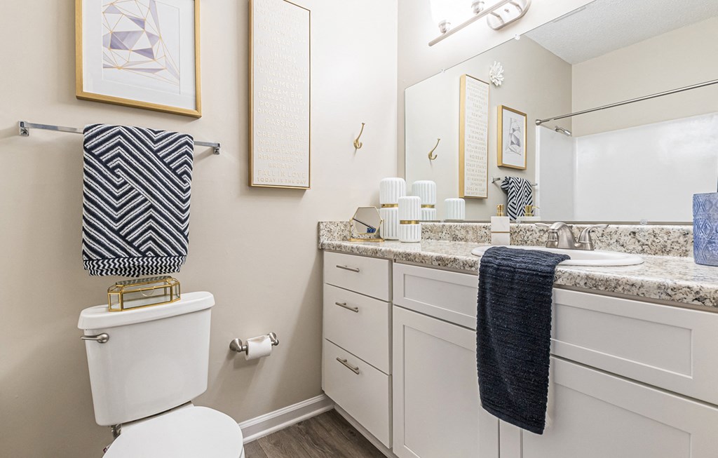 Dominium-The Parkton-Model Bathroom