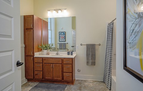 Model Bathroom at Upper Post Flats, Fort Snelling