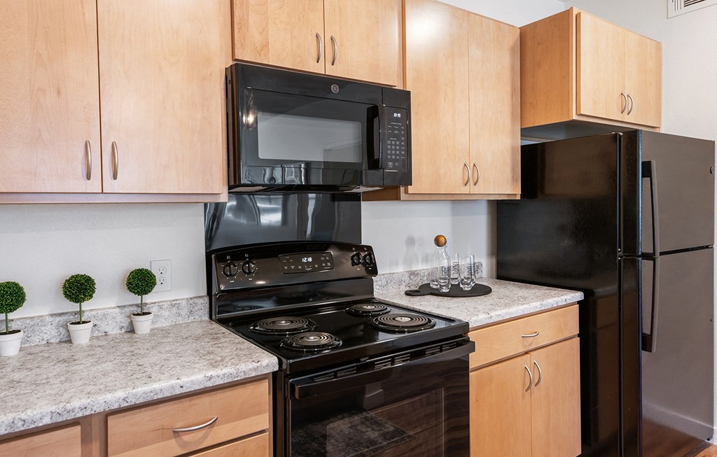 Kitchen at Ventura at Tradewinds, Texas