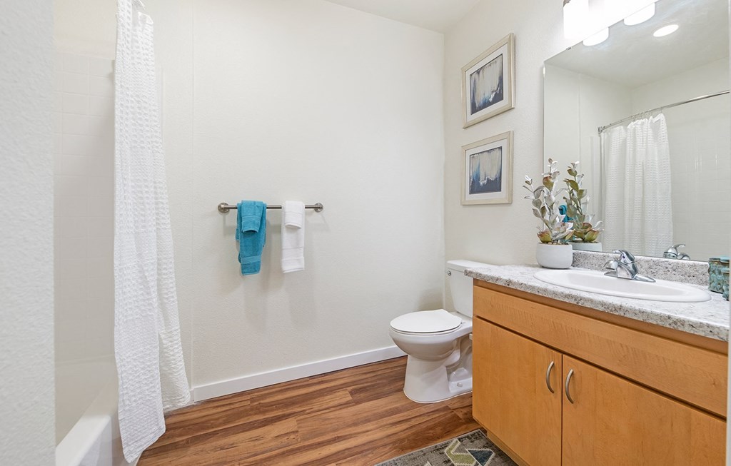 Bathroom at Ventura at Tradewinds, Midland, TX, 79706