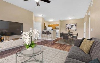 Vermillion_Apt Overview - Photo Gallery 2