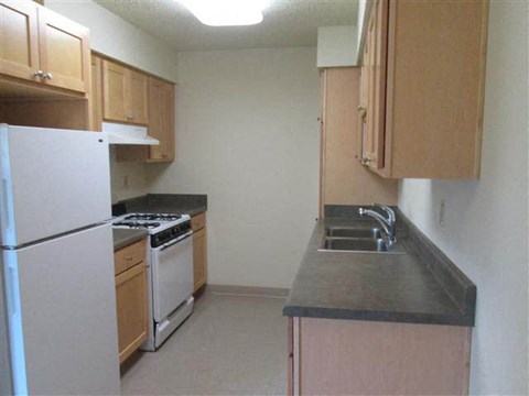 a kitchen with a stove and a sink and a refrigerator
