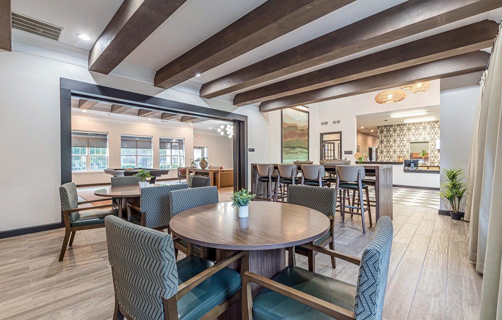 Dominium_Alexander at Stonecrest_Community Room