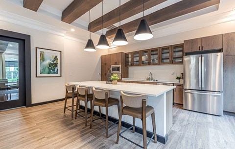 Community Kitchen at Alexander at Stonecrest Apartments, Lithonia Georgia