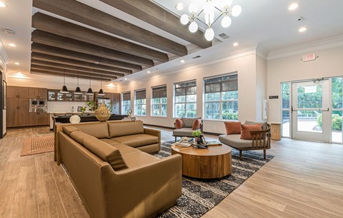 Community Clubhouse at Alexander at Stonecrest Apartments, Lithonia, 30058