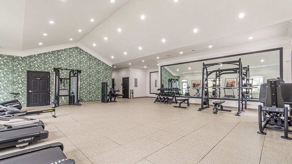 Dominium_Alexander at Stonecrest_New Updated Fitness Center