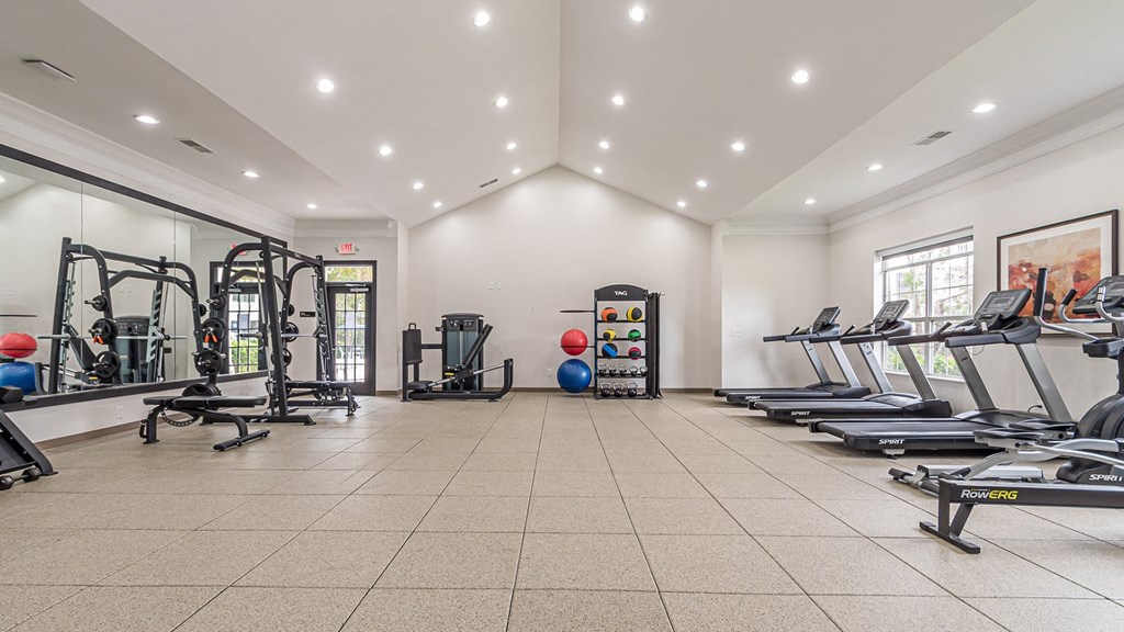 Dominium_Alexander at Stonecrest_New Updated Fitness Center