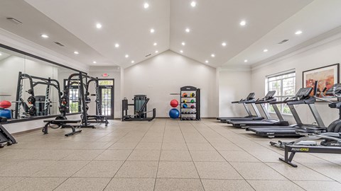 State Of Art Fitness Center at Alexander at Stonecrest Apartments, Lithonia