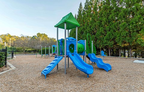 Playground at Alexander at Stonecrest Apartments, Lithonia 