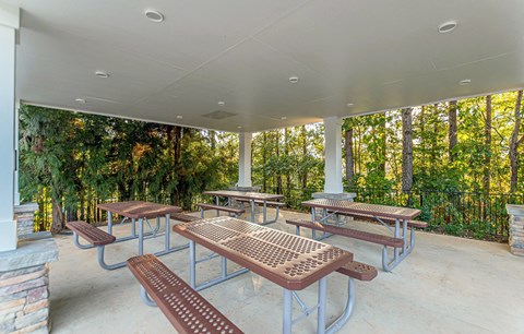 Outdoor Picnic Area at Alexander at Stonecrest Apartments, Georgia