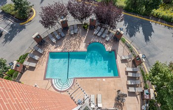 Bluffs at Nine Mile Creek_Aerial Swimming Pool - Photo Gallery 3
