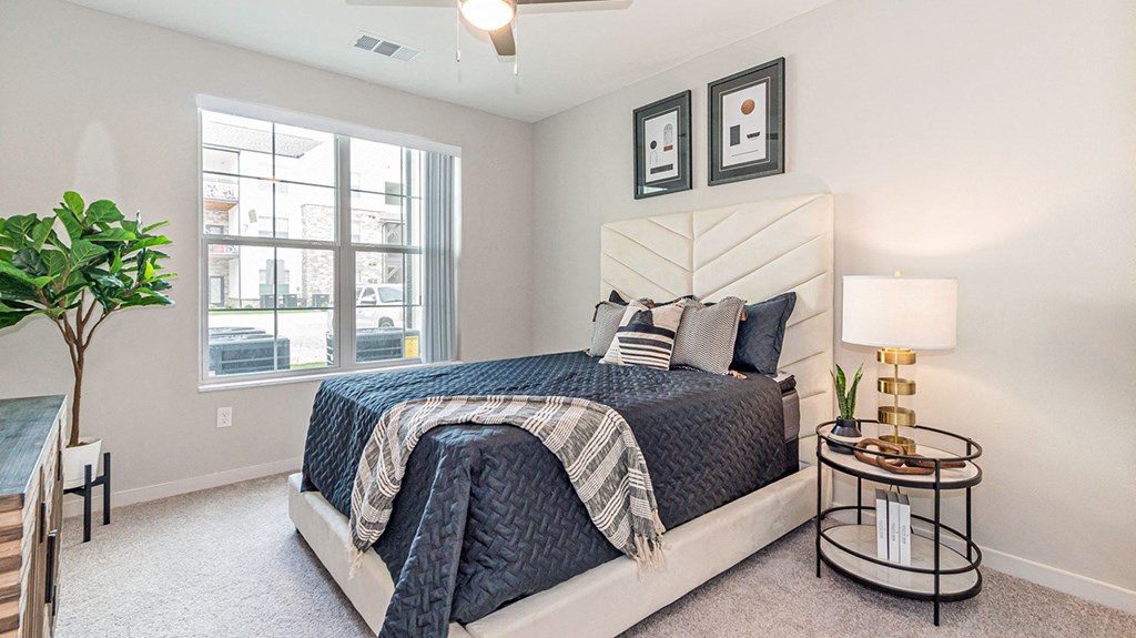 Apartment Bedroom Dominium_Briar Park_Example Model Apartment Bedroom