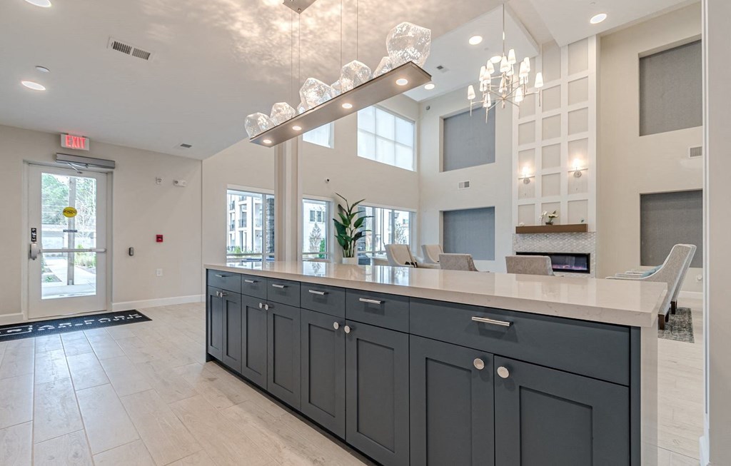 Clubhouse Kitchen at Briar Park 55+ Apartments, Georgia, 30331