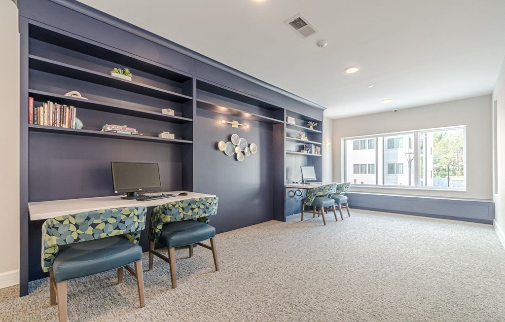 Library at Briar Park 55+ Apartments, Georgia