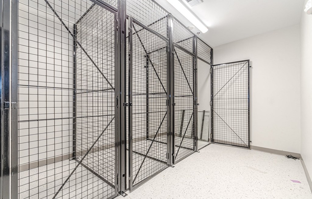 Storage at Briar Park 55+ Apartments, Georgia, 30331