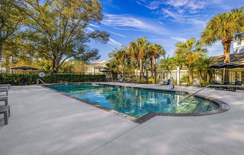 A swimming pool surrounded by trees and a fence.