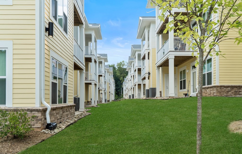 Greenery at Creekridge on the Park Apartments, Charlotte, North Carolina