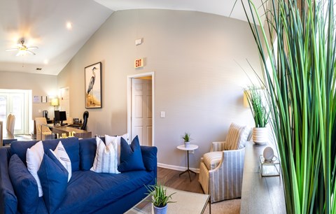 A living room with a blue couch and a green plant.