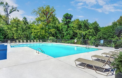 A large outdoor swimming pool surrounded by trees and lounge chairs.