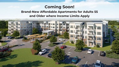 Dominium-Haven at Congaree Pointe-Building Exterior Rendering